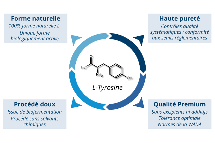 Atouts de la L-Tyrosine Nutrixeal